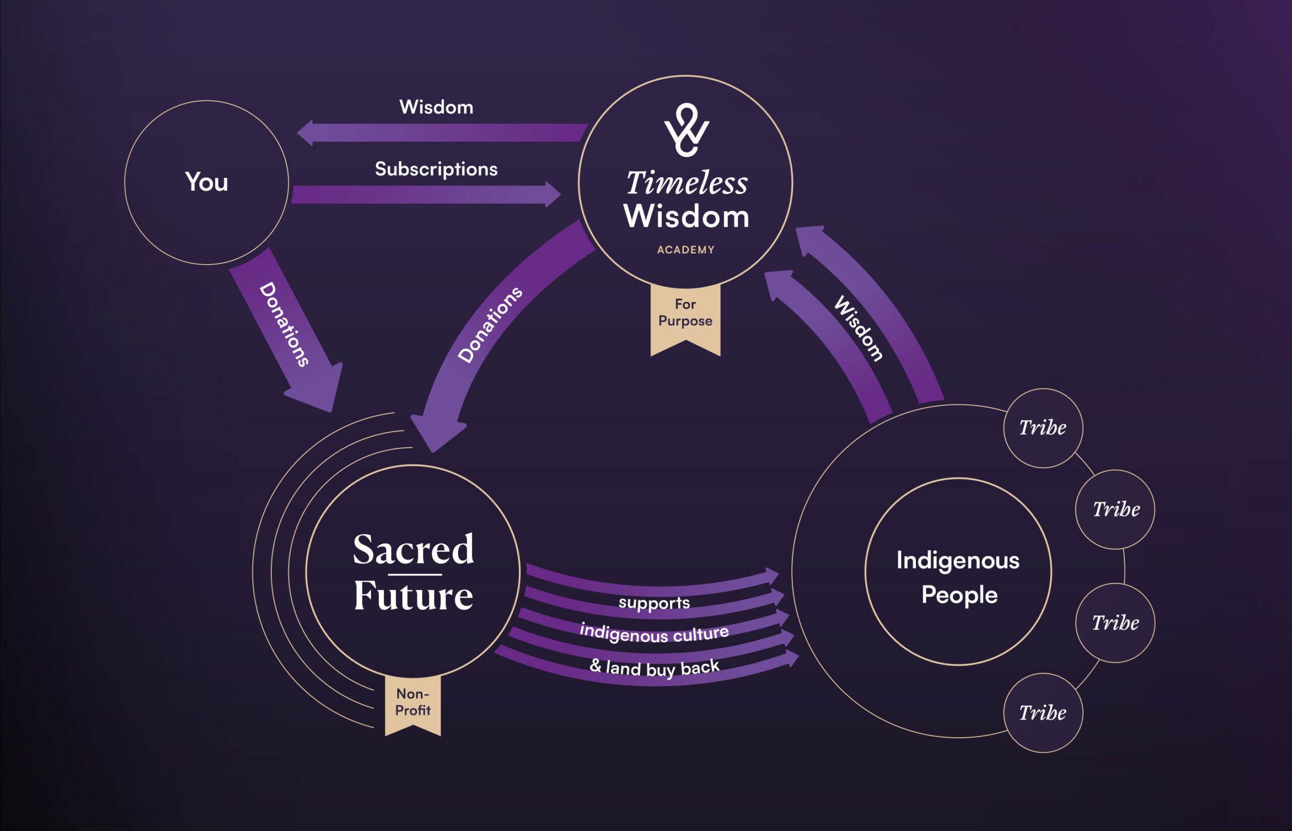 Timeless Wisdom Academy Infografik