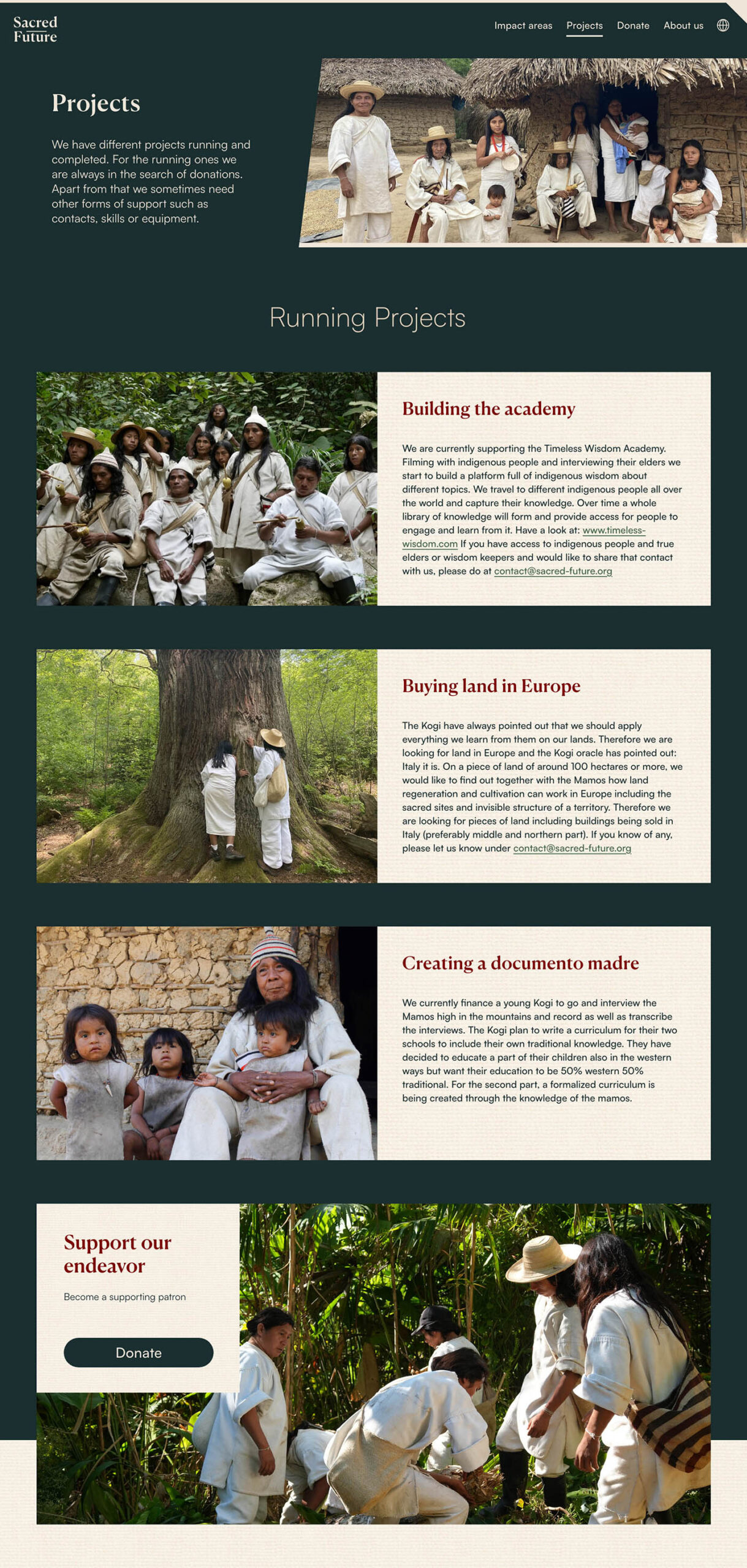 Sacred Future Impact Areas
