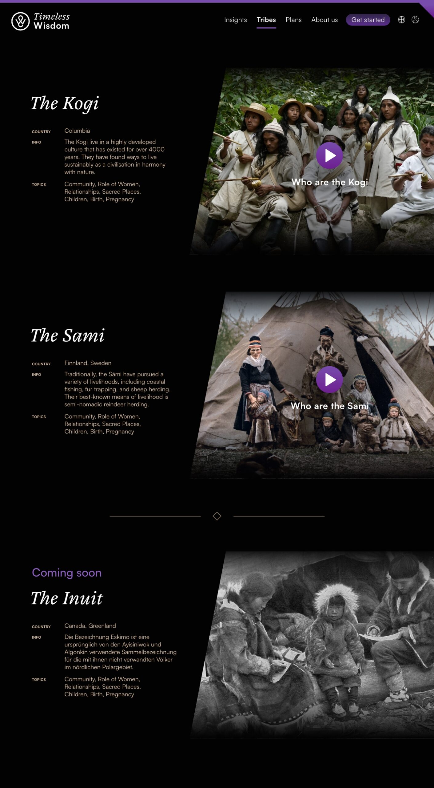 Timeless Wisdom Academy tribes